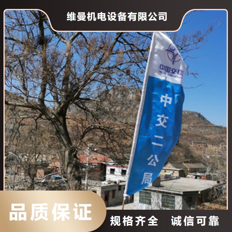 高压发电机租赁