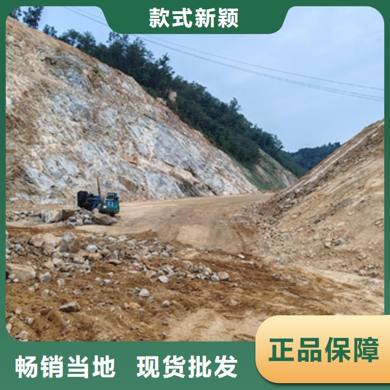 大型发电机出租/租赁-视频-大型发电机出租/租赁|甘肃省陇南市|武都|徽县|天水|金昌|平凉|嘉峪关
