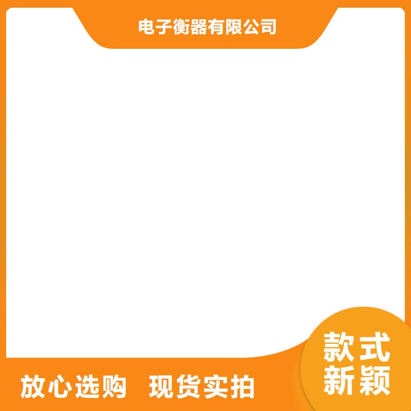 电子吊秤电子台秤选择大厂家省事省心