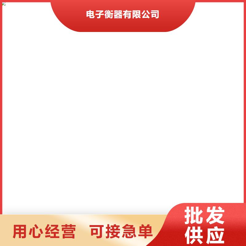电子吊秤电子台秤选择大厂家省事省心