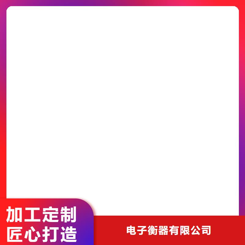 电子磅-视频-电子磅-电子衡器(肇庆市分公司)服务区域德庆|封开|东莞|韶关|湛江|揭阳|广州