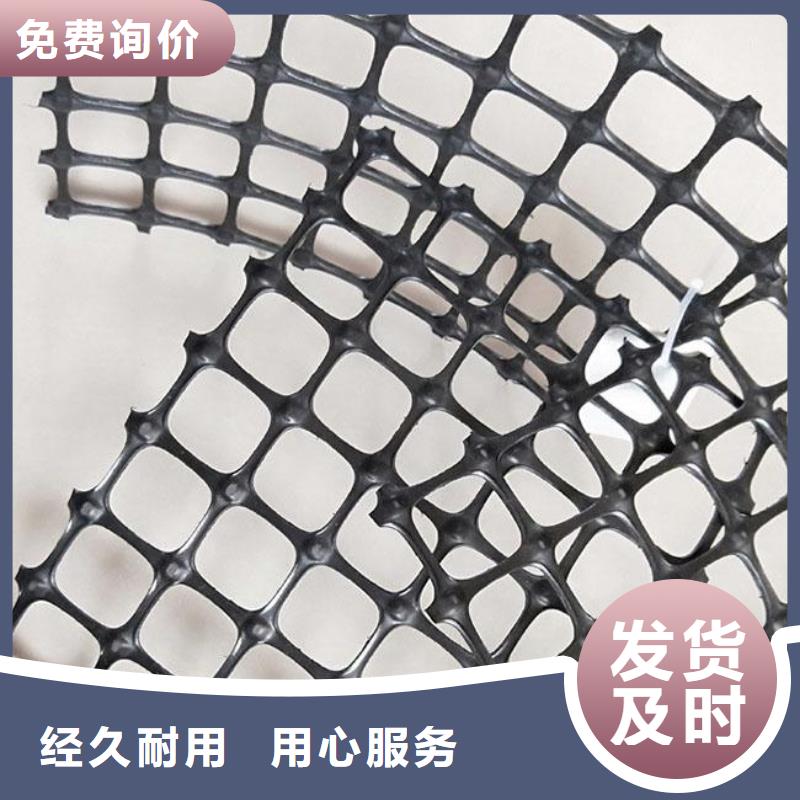 双向塑料土工格栅三维植被网一站式厂家