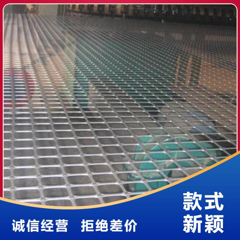 【双向塑料土工格栅】膨润土防水毯精选厂家好货