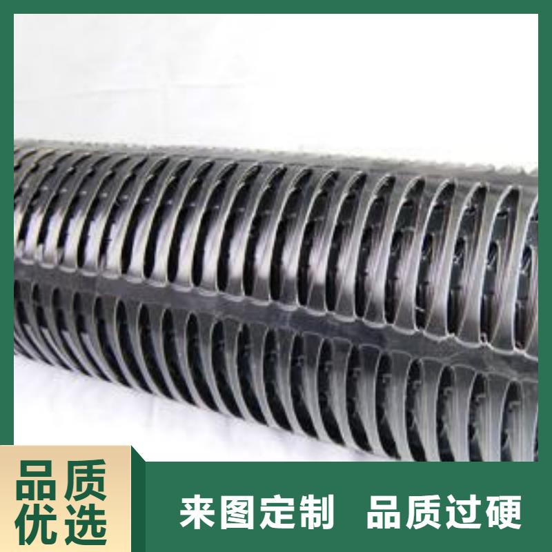 双向塑料土工格栅种类丰富