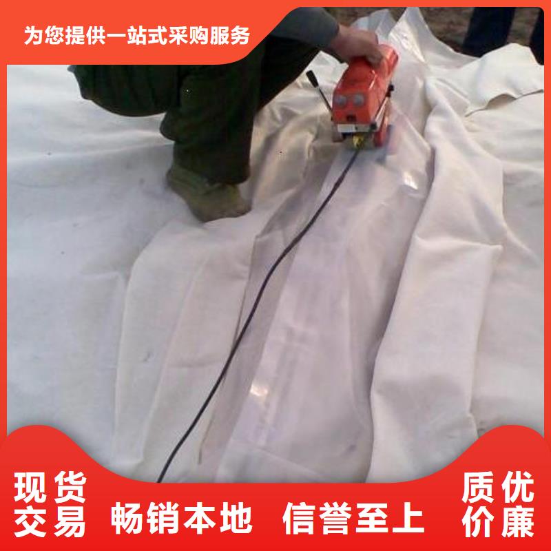 土工膜,【毛细排水板】品质优良