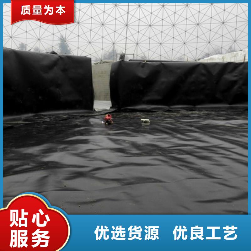 土工膜单向塑料土工格栅实地大厂