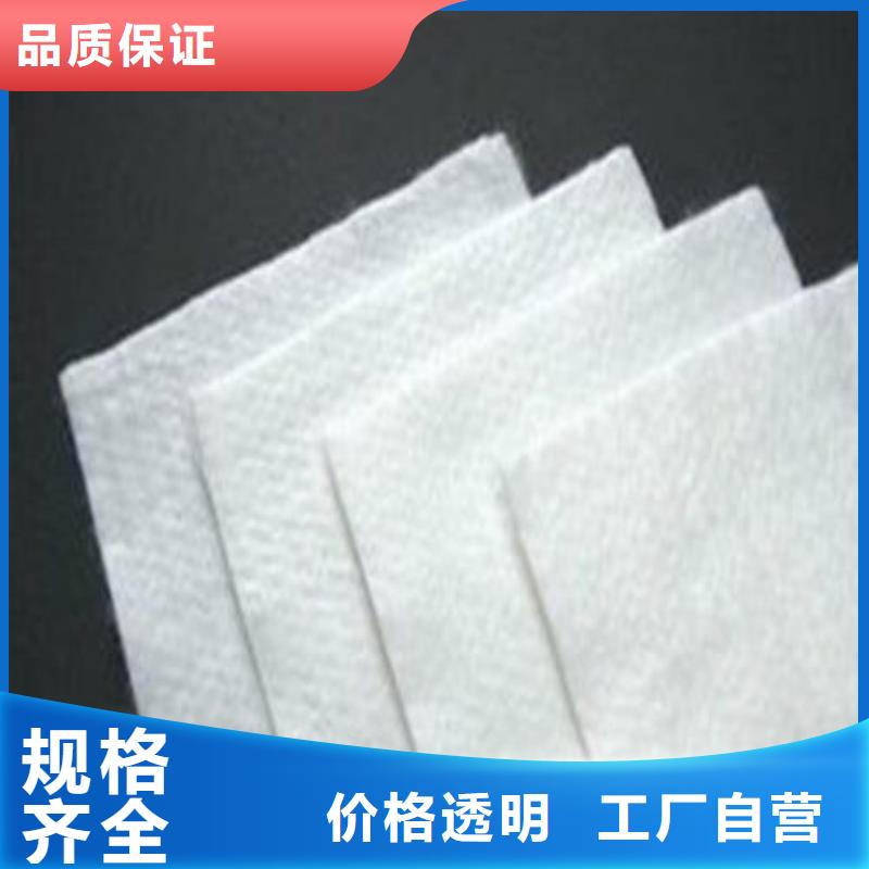 土工布渗排水片材现货