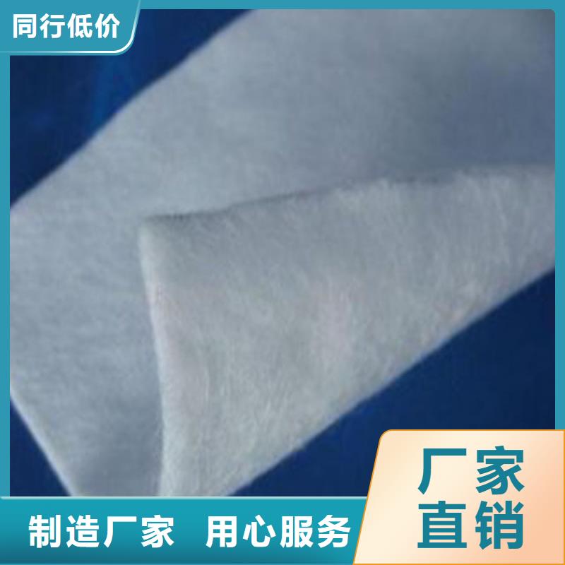 钢塑土工格栅-视频-钢塑土工格栅(鼎诺)覆盖地域吉林省四平市梨树|双辽|延边|长春|通化|吉林|辽源