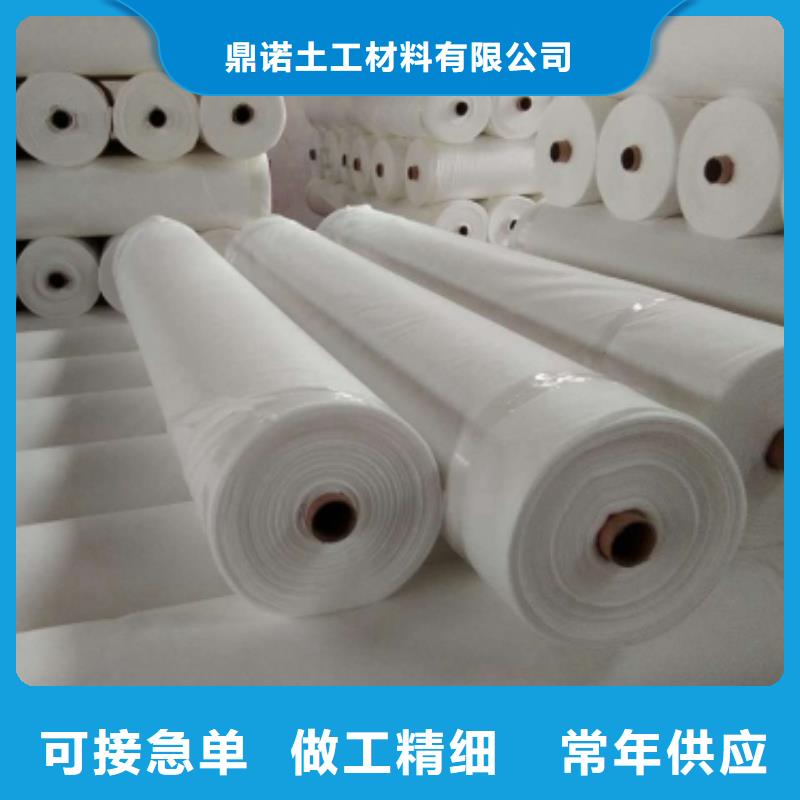钢塑土工格栅-视频-钢塑土工格栅(鼎诺)覆盖地域吉林省四平市梨树|双辽|延边|长春|通化|吉林|辽源