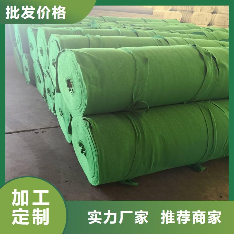 钢塑土工格栅-视频-钢塑土工格栅(鼎诺)覆盖地域吉林省四平市梨树|双辽|延边|长春|通化|吉林|辽源