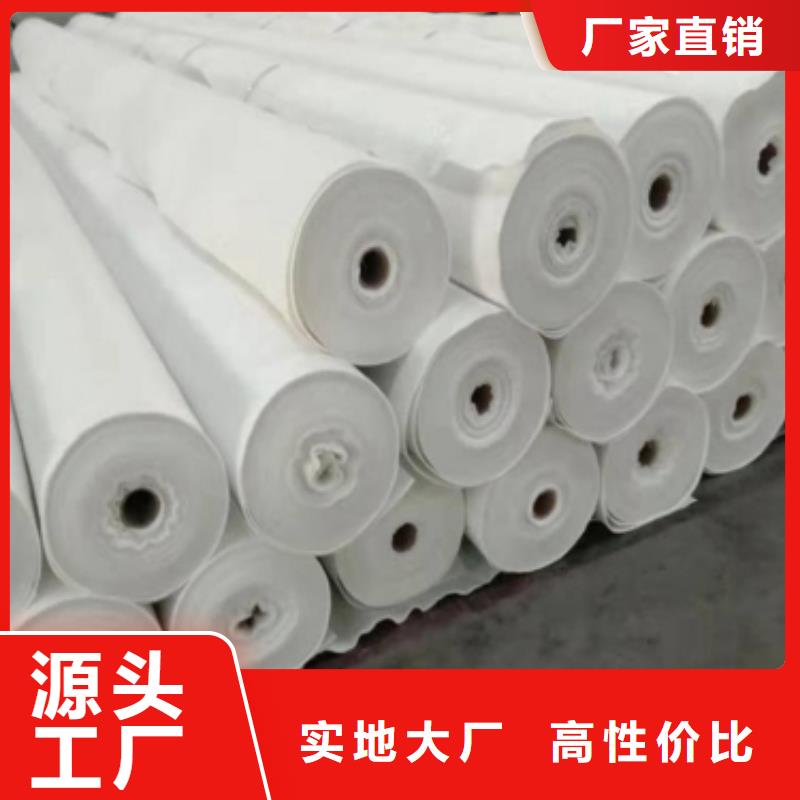 土工布钢塑土工格栅以质量求生存