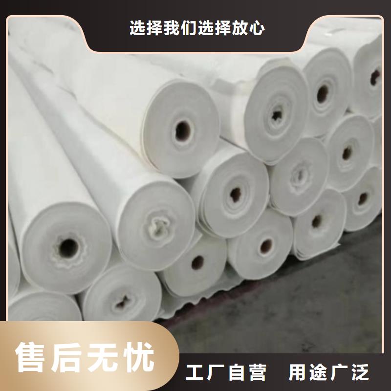 钢塑土工格栅-视频-钢塑土工格栅(鼎诺)覆盖地域吉林省四平市梨树|双辽|延边|长春|通化|吉林|辽源