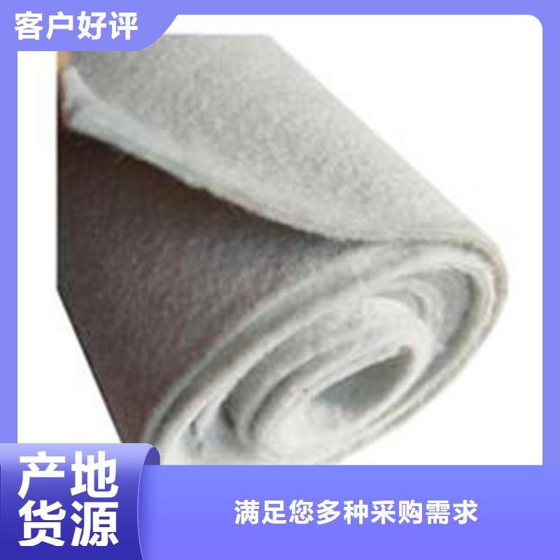 钢塑土工格栅-视频-钢塑土工格栅(鼎诺)覆盖地域吉林省四平市梨树|双辽|延边|长春|通化|吉林|辽源