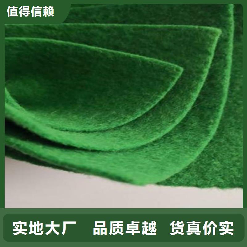 钢塑土工格栅-视频-钢塑土工格栅(鼎诺)覆盖地域吉林省四平市梨树|双辽|延边|长春|通化|吉林|辽源