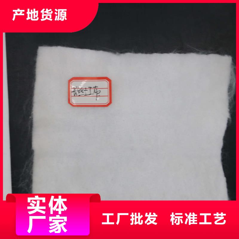 钢塑土工格栅-视频-钢塑土工格栅(鼎诺)覆盖地域吉林省四平市梨树|双辽|延边|长春|通化|吉林|辽源