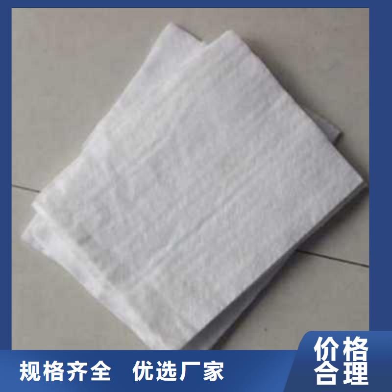 钢塑土工格栅-视频-钢塑土工格栅(鼎诺)覆盖地域吉林省四平市梨树|双辽|延边|长春|通化|吉林|辽源