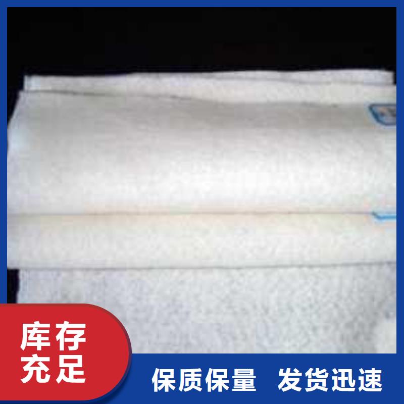 钢塑土工格栅-视频-钢塑土工格栅(鼎诺)覆盖地域吉林省四平市梨树|双辽|延边|长春|通化|吉林|辽源