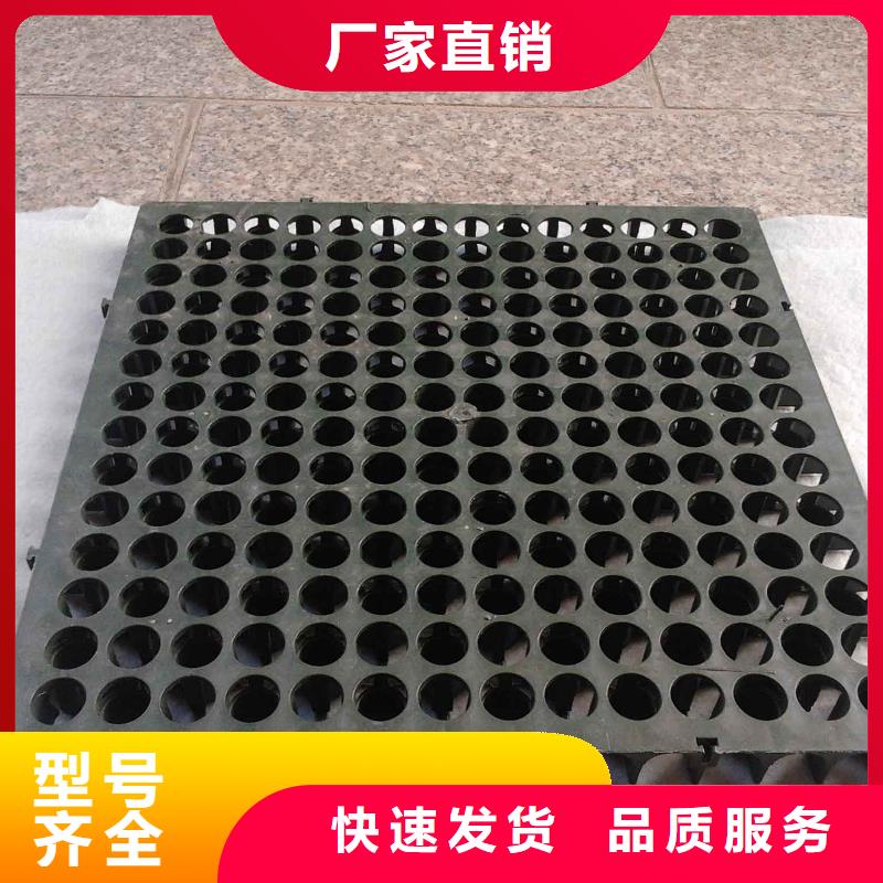 钢塑土工格栅-视频-钢塑土工格栅|西安市|周至|莲湖|宝鸡|延安|咸阳|汉中|安康|榆林|铜川