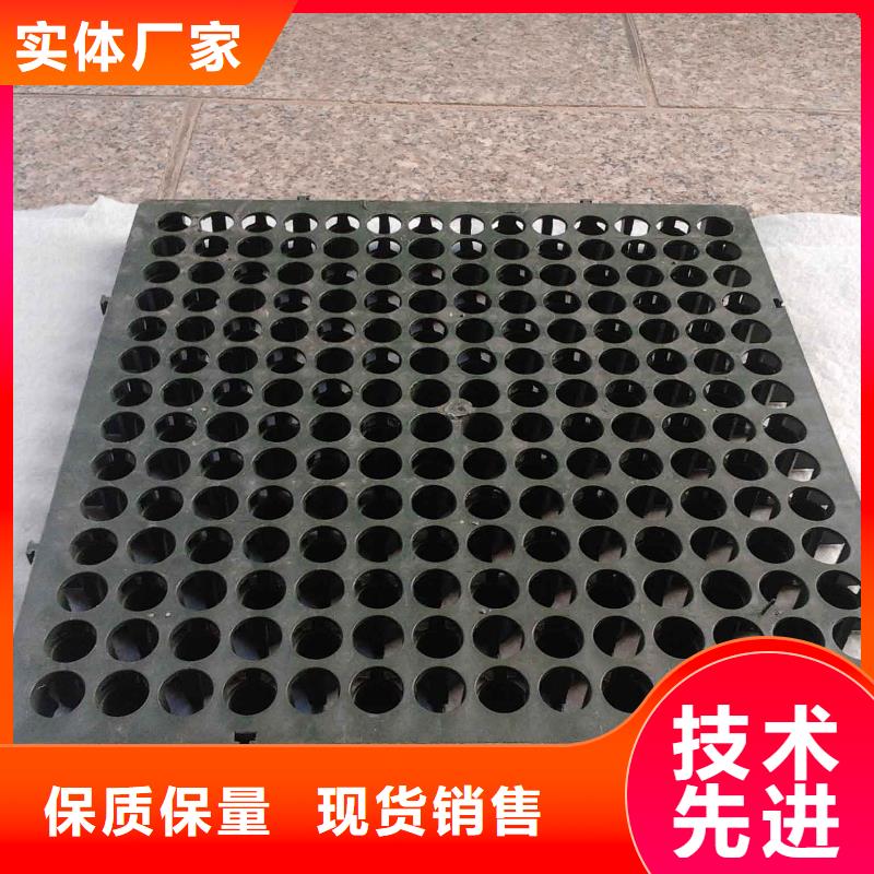 钢塑土工格栅-视频-钢塑土工格栅|辽宁省阜新市|清河门|细河|丹东|抚顺|大连|辽阳