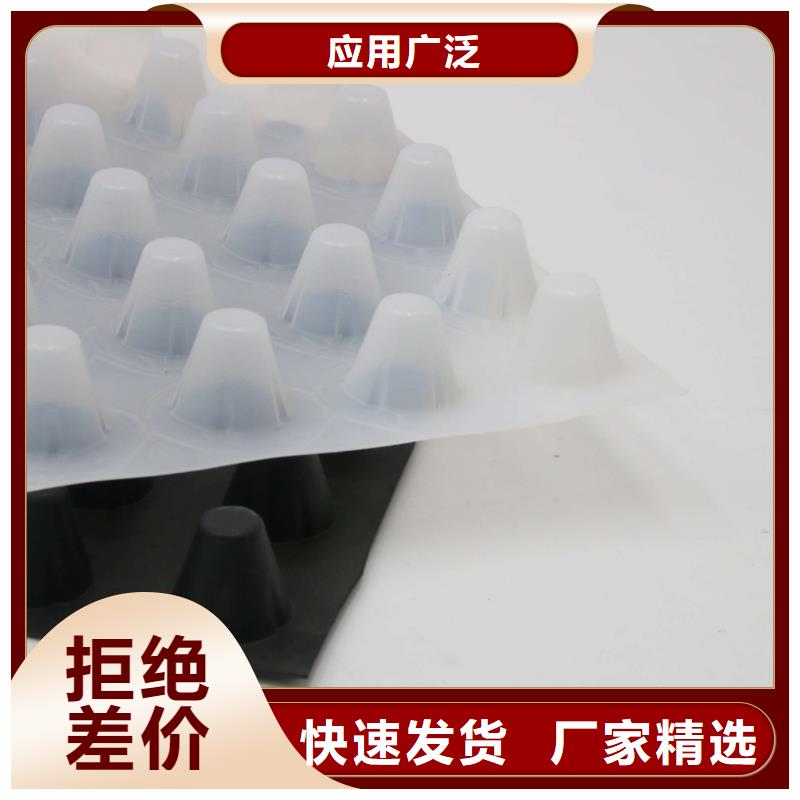 蓄排水板土工席垫实力厂商