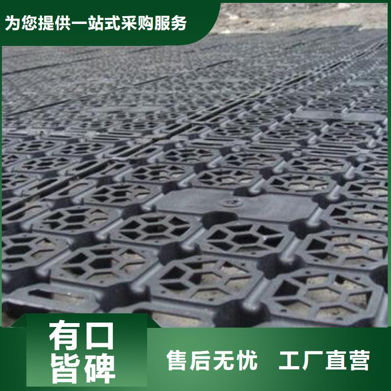 钢塑土工格栅-视频-钢塑土工格栅|西安市|周至|莲湖|宝鸡|延安|咸阳|汉中|安康|榆林|铜川