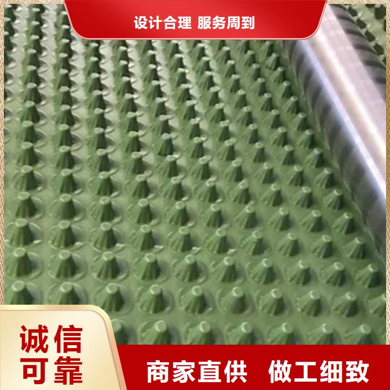 蓄排水板土工席垫实力厂商