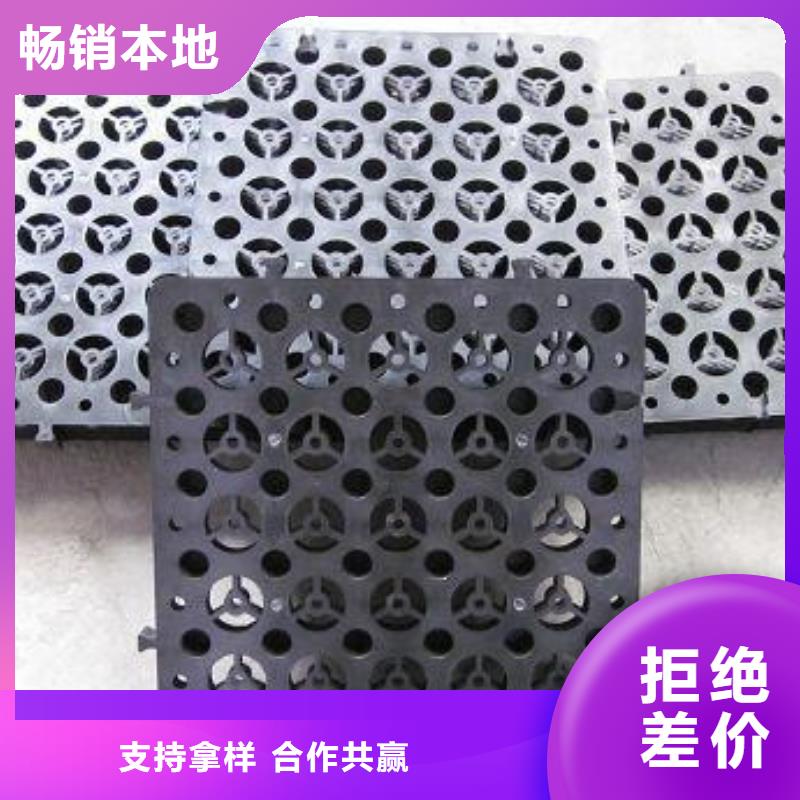 钢塑土工格栅-视频-钢塑土工格栅|西安市|周至|莲湖|宝鸡|延安|咸阳|汉中|安康|榆林|铜川