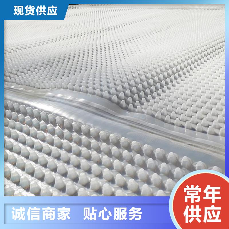 蓄排水板_【软式透水管】专业生产厂家