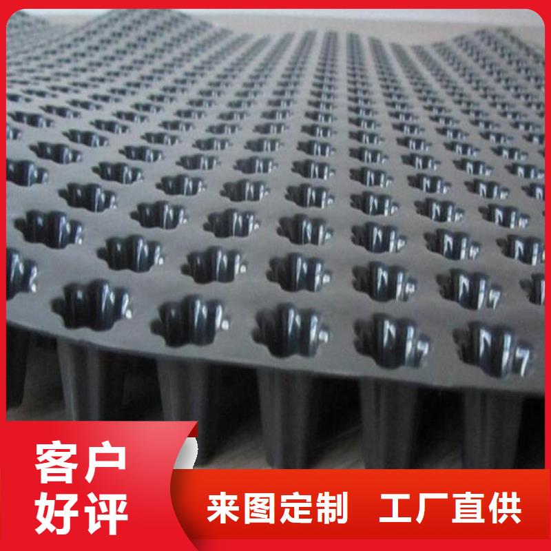 蓄排水板土工席垫实力厂商