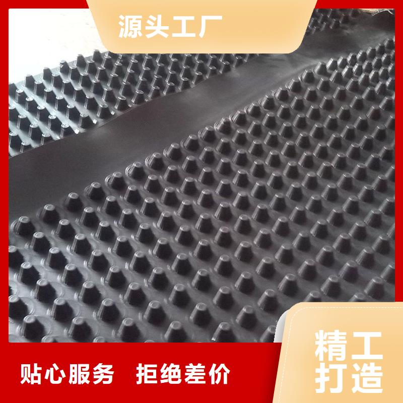 蓄排水板-双向塑料土工格栅一件也发货