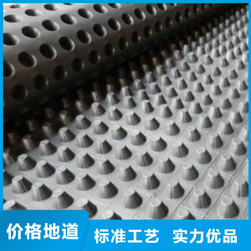 蓄排水板三维复合排水网高标准高品质