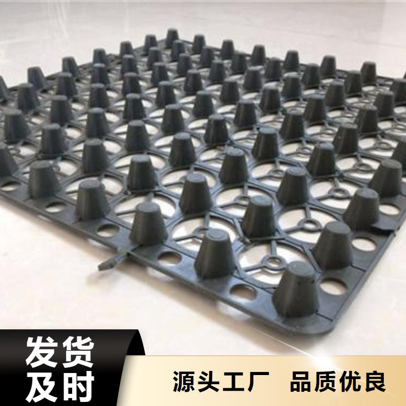 蓄排水板膨润土防水垫高标准高品质