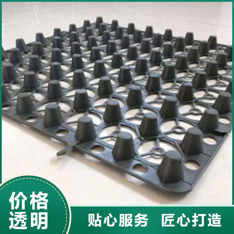 蓄排水板三维复合排水网高标准高品质