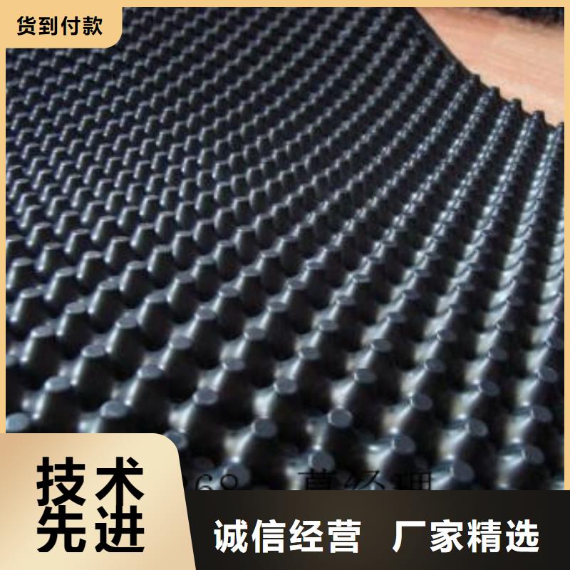 蓄排水板-双向塑料土工格栅一件也发货