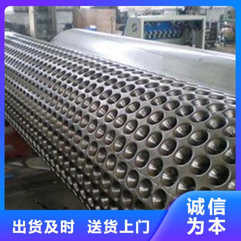 蓄排水板三维复合排水网高标准高品质