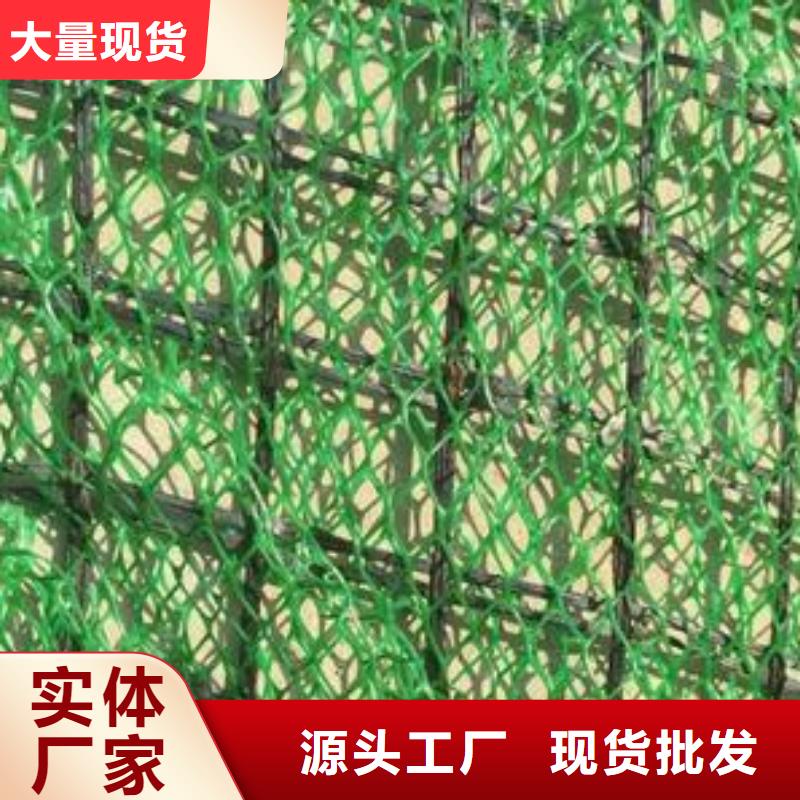 三维植被网_土工席垫好品质售后无忧