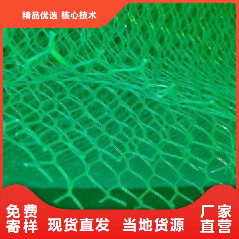 三维植被网软式透水管按需设计