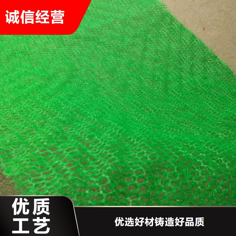 三维植被网塑料盲沟符合标准