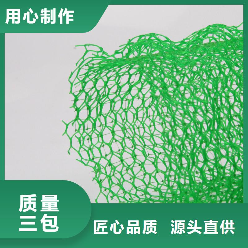 三维植被网玻纤格栅买的放心安兴用的舒心