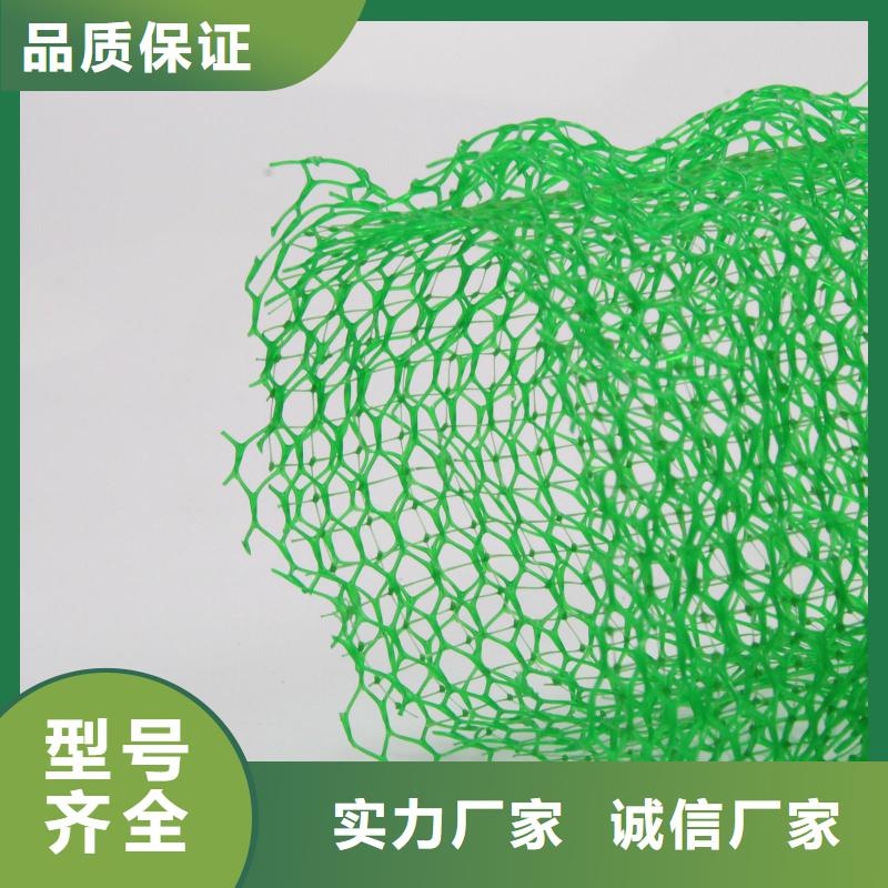 三维植被网_土工席垫好品质售后无忧