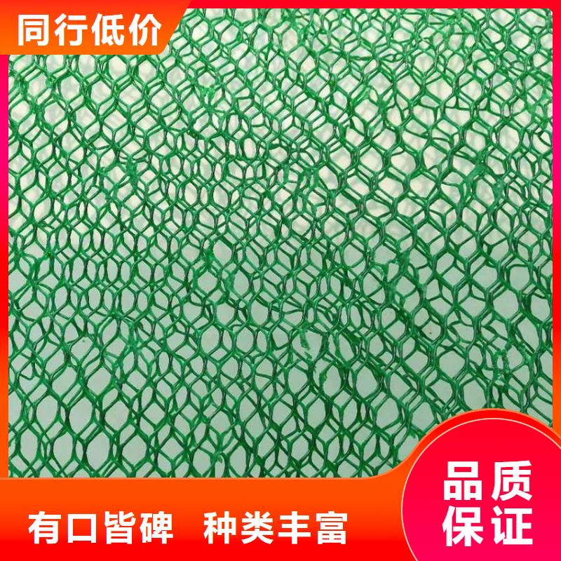 三维植被网三维土工网垫厂家直销大量现货