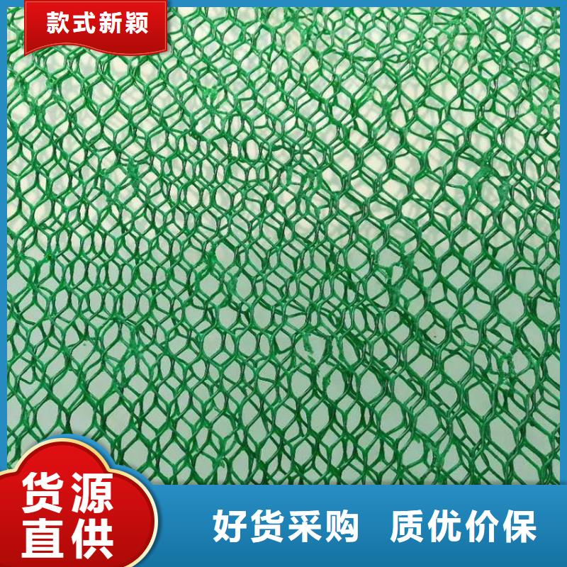 三维植被网玻纤格栅买的放心安兴用的舒心