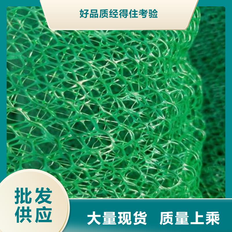 三维植被网三维土工网垫厂家直销大量现货