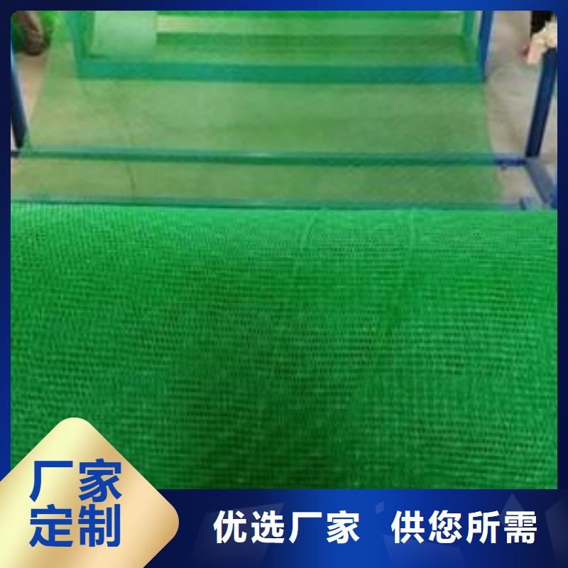 三维植被网塑料盲沟符合标准