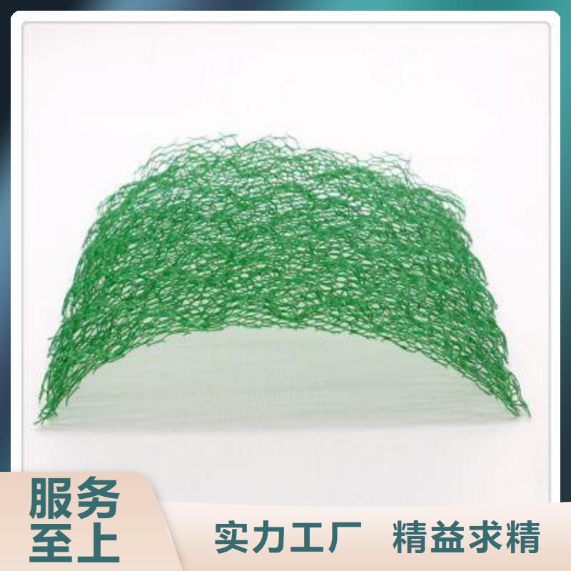 三维植被网_土工席垫好品质售后无忧