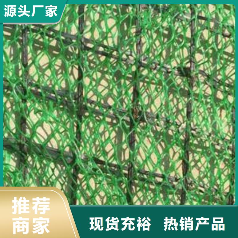 三维植被网,土工格室品质保障售后无忧