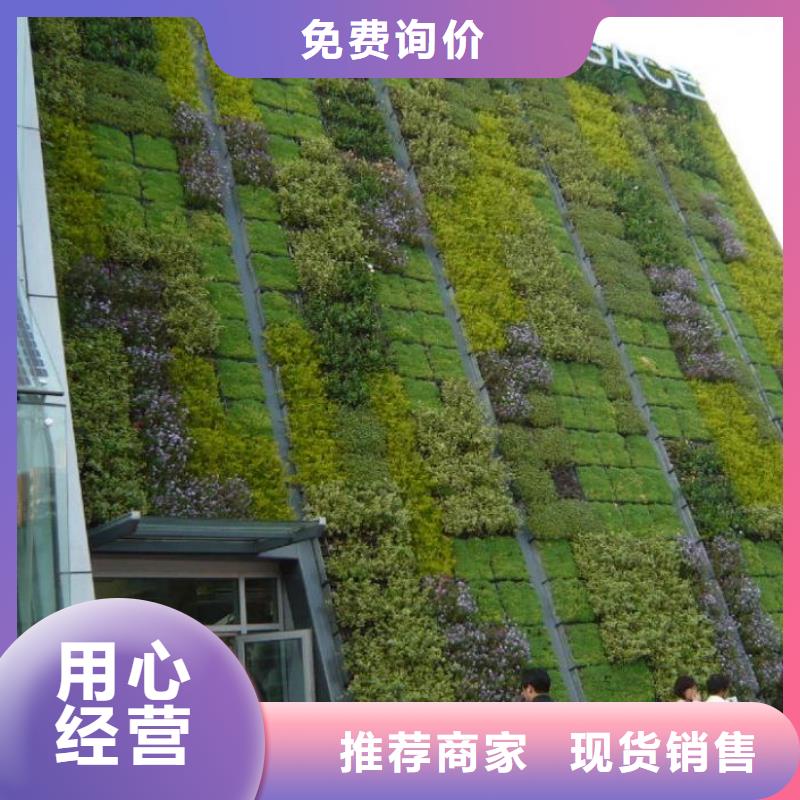 三维植被网,土工格室品质保障售后无忧