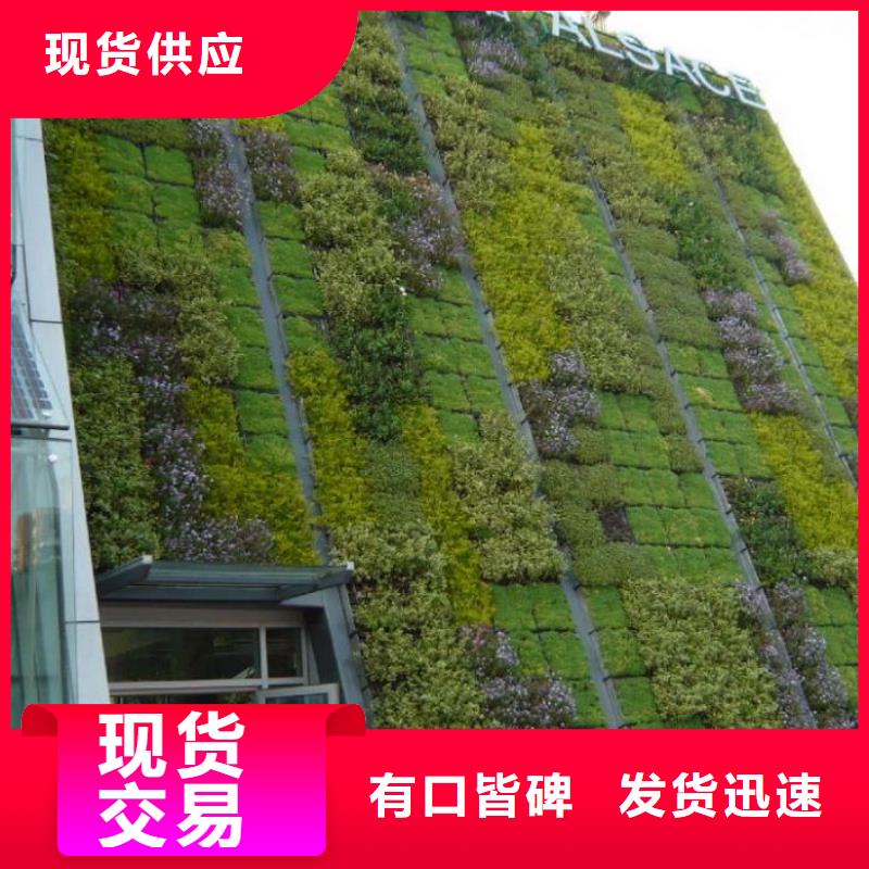 三维植被网_土工席垫好品质售后无忧