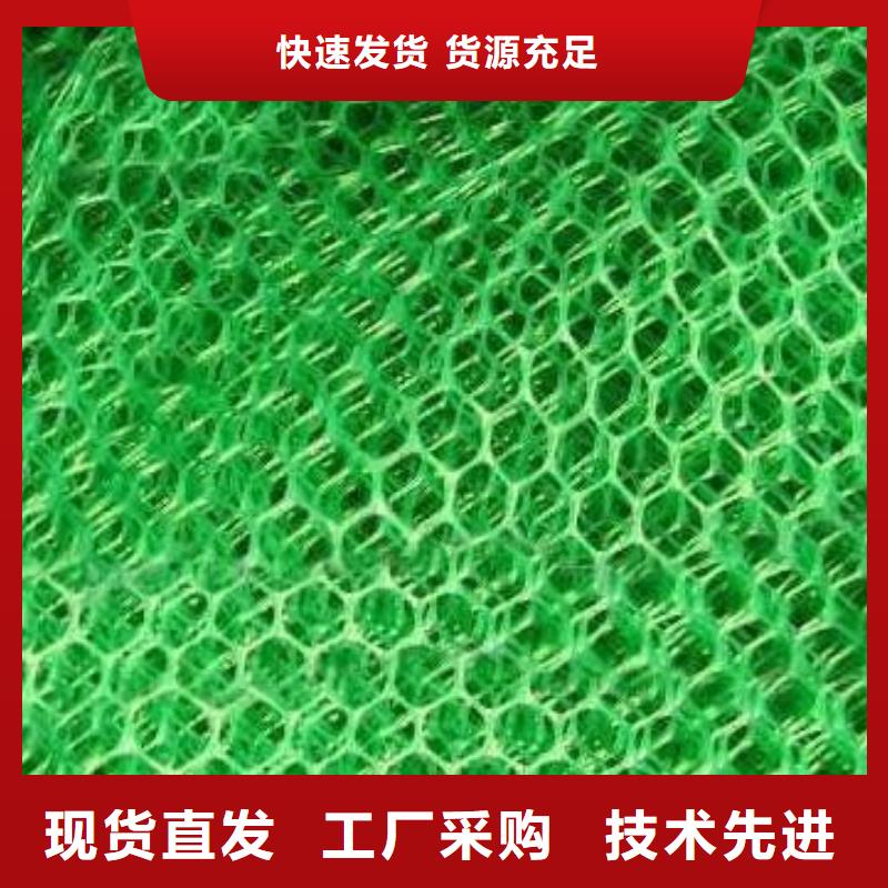 三维植被网三维土工网垫厂家直销大量现货