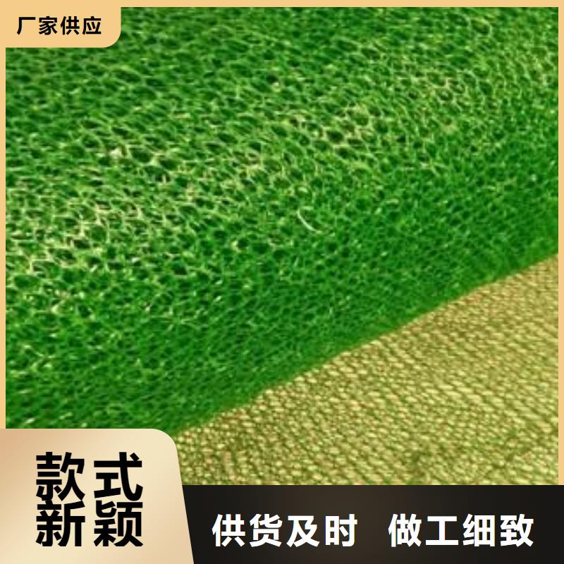 三维植被网三维土工网垫厂家直销大量现货
